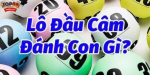 Giới thiệu vài nét chính về lô đầu câm